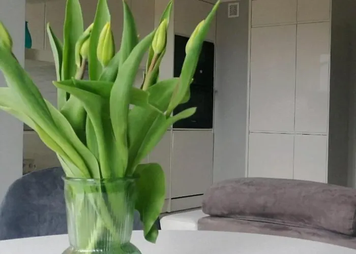 35 * أولشتينيك